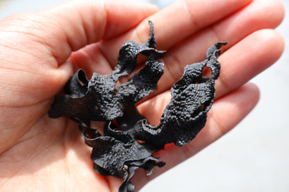 Seaweed Exfoliating Strips
