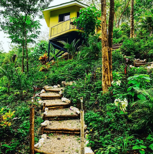 A Neuro Mycelium Retreat 🍄🧠