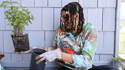 Consultation Services